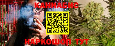 МДПВ Гагарин
