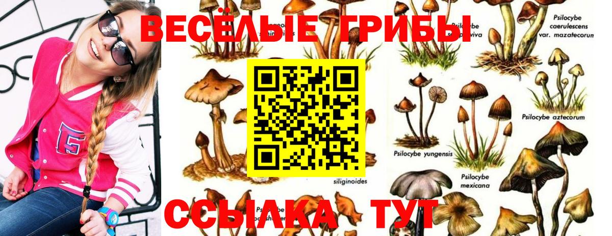 Нововоронеж  Галлюциногенные грибы мицелий  Вход с VPN 