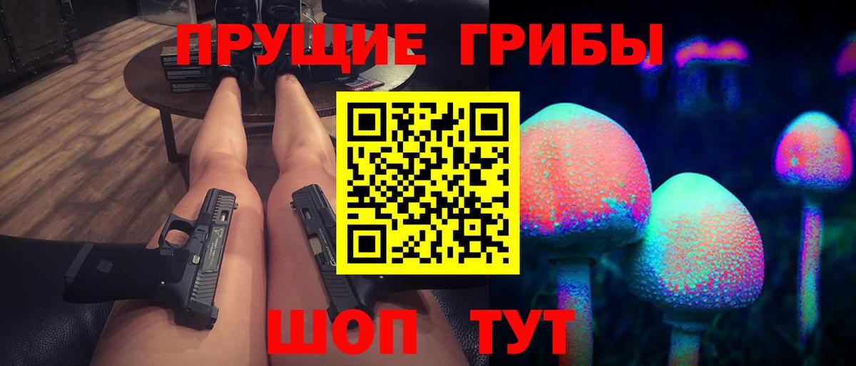 Галлюциногенные грибы Psilocybine cubensis Нововоронеж
